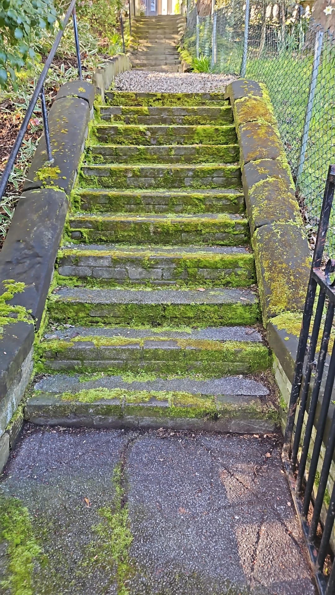 Stone Steps: View 1 - before